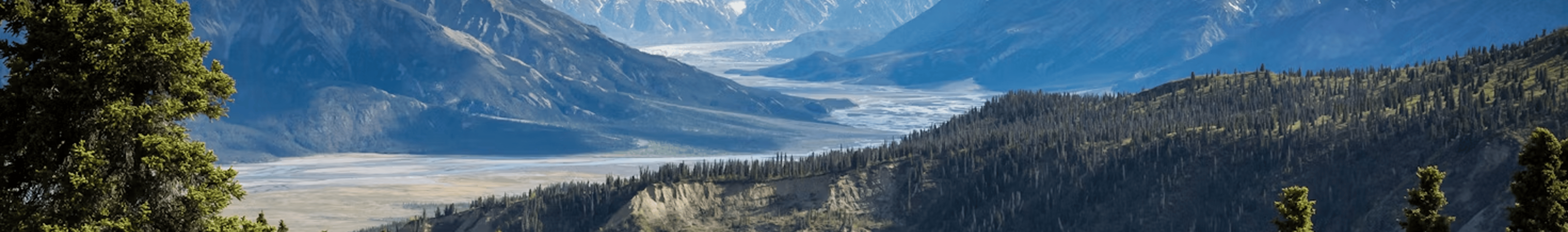 Online therapy session